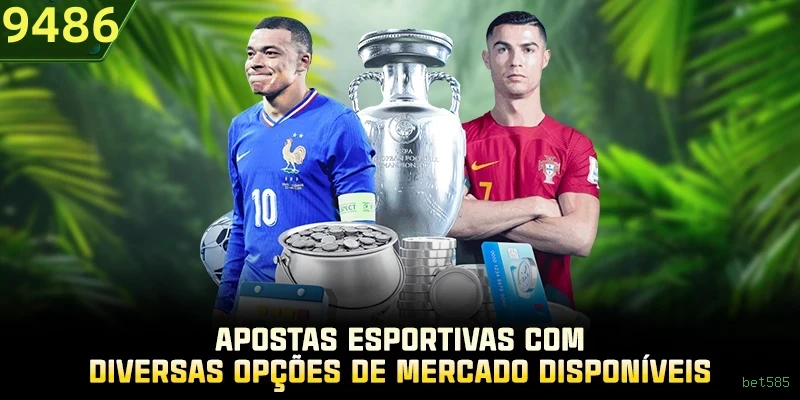 Níveis VIP bet585